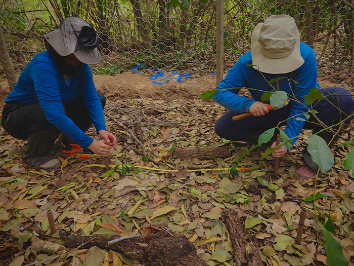 Quantitative ecology in the jungle