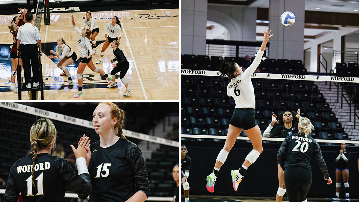 Volleyball collage